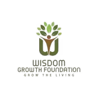 Wisdom-Growth-Foundation-awethujiba.com-Digital-Markerting-Client-Johannesburg.avif